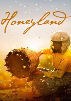 Honeyland : la femme aux abeilles