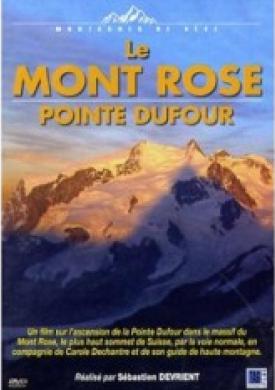 Le Mont Rose Pointe Dufour