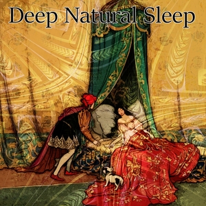 Deep Natural Sleep