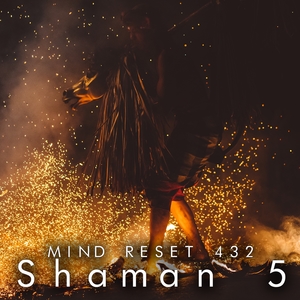 Shaman 5