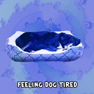 Feeling Dog Tired