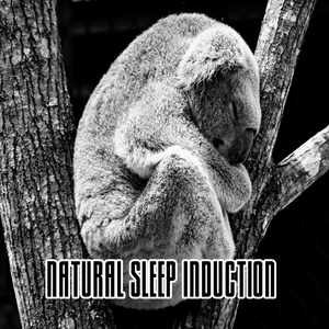 Natural Sleep Induction