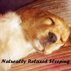 Naturally Relaxed Sleeping
