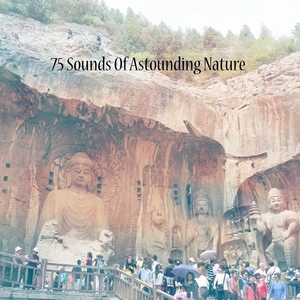 75 Sounds Of Astounding Nature