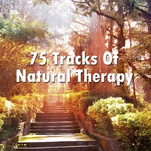 75 Tracks Of Natural Therapy