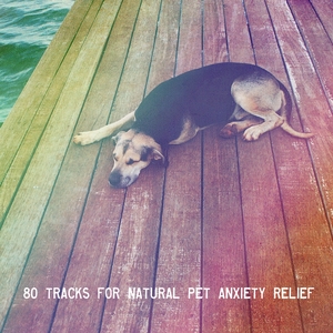 80 Tracks For Natural Pet Anxiety Relief