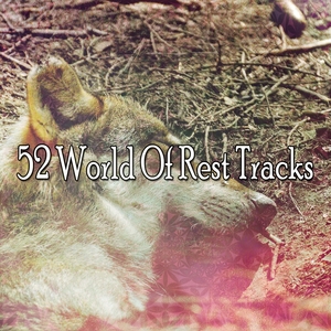 52 World Of Rest Tracks