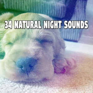 34 Natural Night Sounds