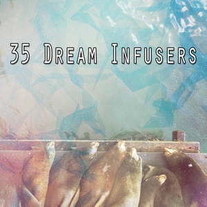 35 Dream Infusers
