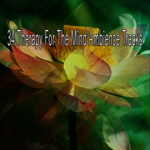 34 Therapy For The Mind Ambience Tracks