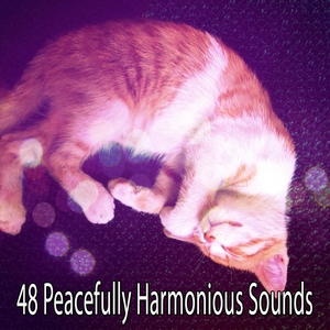 48 Peacefully Harmonious Sounds