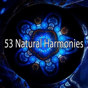 53 Natural Harmonies