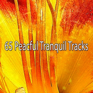 65 Peacful Tranquil Tracks