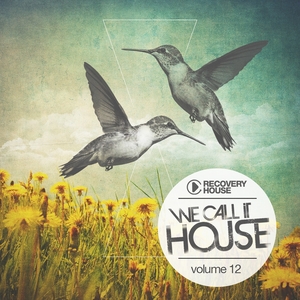 We Call It House, Vol. 12
