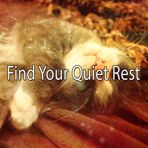 Find Your Quiet Rest