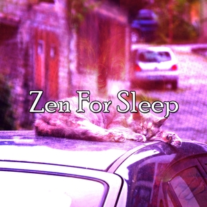 Zen For Sleep