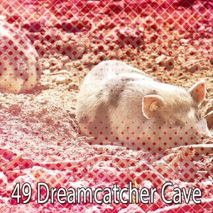49 Dreamcatcher Cave
