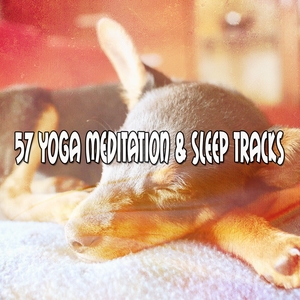 57 Yoga Meditation &amp; Sleep Tracks