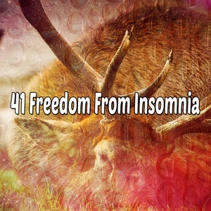 41 Freedom From Insomnia