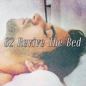 62 Revive The Bed