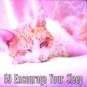 59 Encourage Your Sleep