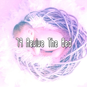 79 Revive The Bed