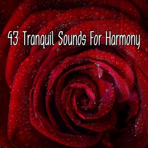 43 Tranquil Sounds For Harmony