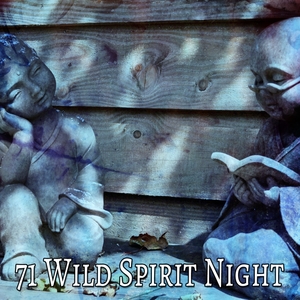 71 Wild Spirit Night