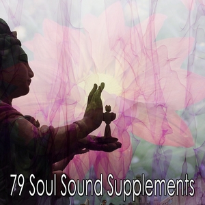 79 Soul Sound Supplements