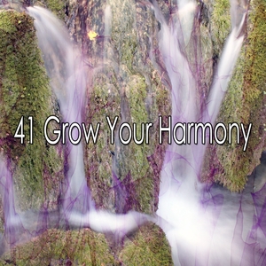 41 Grow Your Harmony