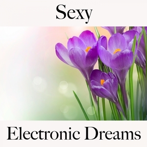 Sexy: Electronic Dreams - Die Beste Musik Für Die Sinnliche Zeit Zu Zweit