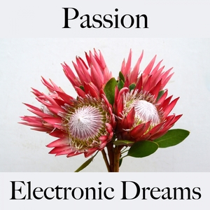 Passion: Electronic Dreams - Pour Les Moments De Sensualité À Deux