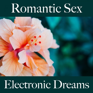 Romantic Sex: Electronic Dreams - Die Beste Musik Für Die Sinnliche Zeit Zu Zweit