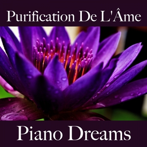 Purification De L'Âme: Piano Dreams - La Meilleure Musique Pour Se Détendre