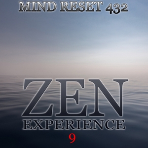 Zen experience