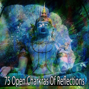 75 Open Charkras of Reflections