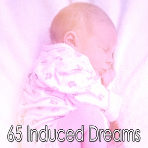 65 Induced Dreams