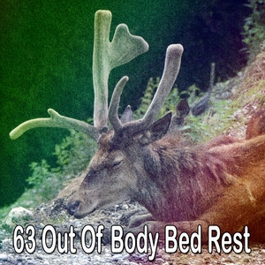 63 Out of Body Bed Rest