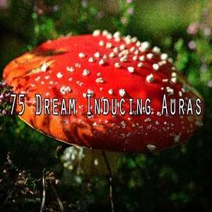 75 Dream Inducing Auras