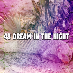 48 Dream in the Night