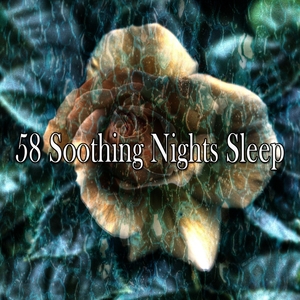 58 Soothing Nights Sle - EP