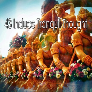 43 Induce Tranquil Thought