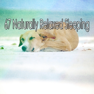 67 Naturally Relaxed Sleeping