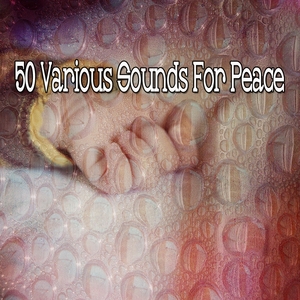 50 Various Sounds for Peace