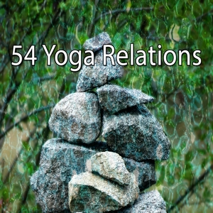 54 Yoga Relations