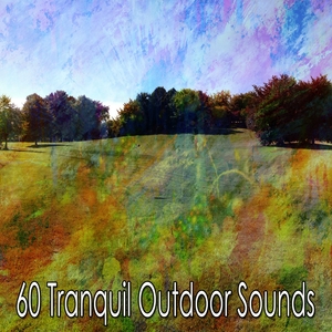 60 Tranquil Outdoor Sounds