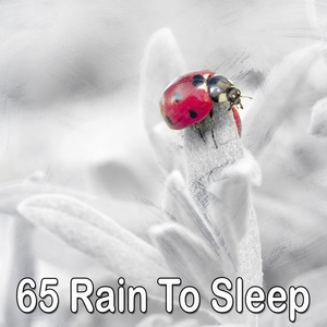 65 Rain to Sleep