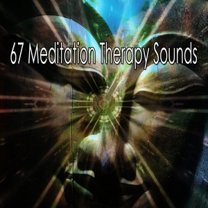 67 Meditation Therapy Sounds