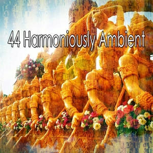 44 Harmoniously Ambient