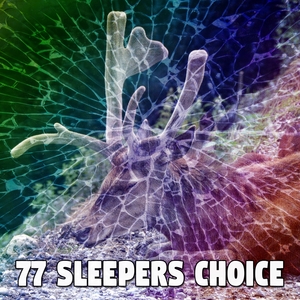 77 Sleepers Choice